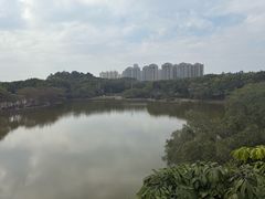 -东莞植物园