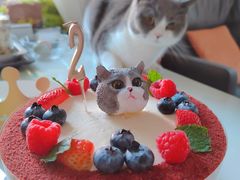 -姆们M Sweetie Cake(三里屯店)