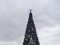 -巴黎迪士尼乐园