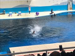 -北戴河圣蓝海洋公园