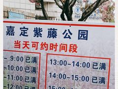 -嘉定紫藤园
