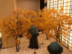 -汤里来温泉