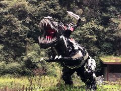 -武隆天坑地缝国家地质公园