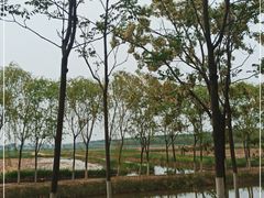 -西青郊野公园