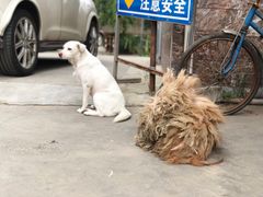 -许村蟹面(海宁许村大道店)