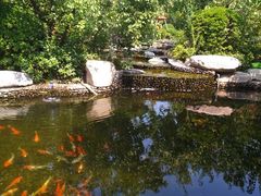 -思念果岭悦温泉