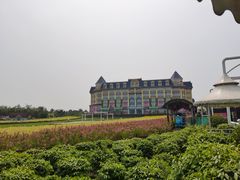 -百万葵园