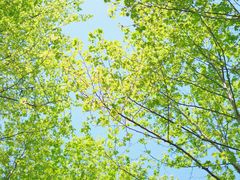 -宜兴龙背山森林公园