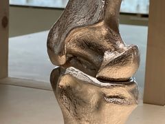 -上海当代艺术博物馆