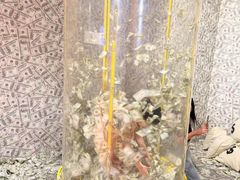 -不可思议减压馆·解压博物馆·摔碗发泄·团建定制