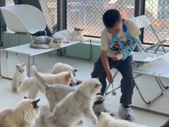 -怪兽屋·羊驼·猫咖·狗咖(俊华广场店)