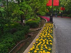 -冯小炒(巴渝大道店)