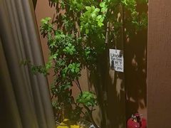 -泰·菩提树下[泰式按摩x精油SPAx肩颈头疗](新景店)