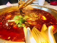 鲜兔火锅-红辣椒·川菜·火锅(科华路店)