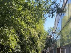 -呀路古热带植物园