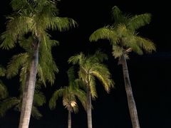 -三亚亚龙湾万豪度假酒店