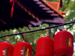 -亭林园-华藏寺