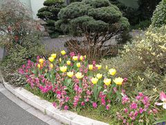 -浙江西子宾馆·牡丹厅