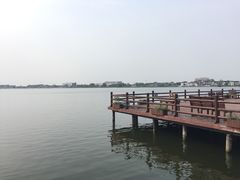 -鹅湖玫瑰文化园