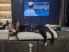 -西涌国际滨海旅游区