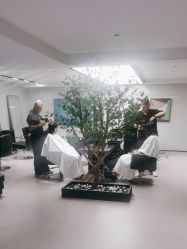 -付军剪艺JF ProSalon