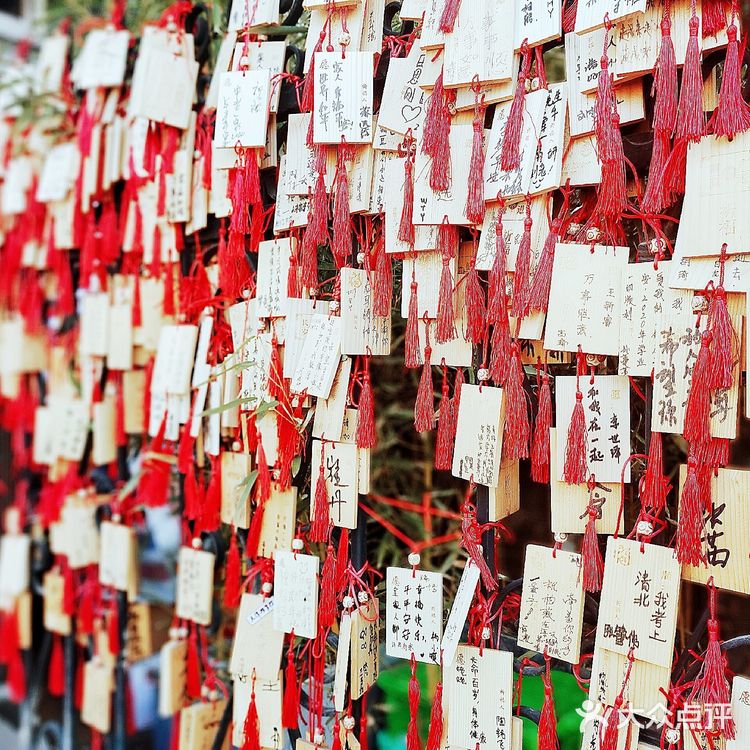 五大道上好吃😋的津菜