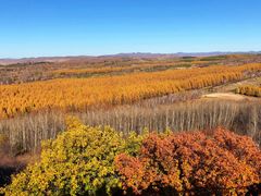 -塞罕坝国家级自然保护区