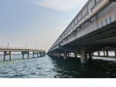 -丁香湖公园