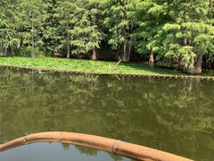 -尚湖风景区