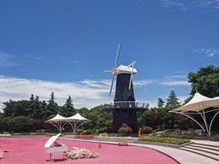 -上海鲜花港