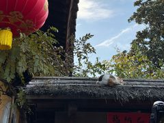 -龙华素斋(龙华路店)