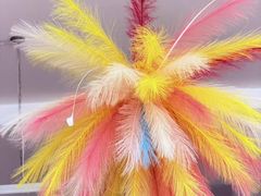 -满天星幼儿园(北京太阳宫园)