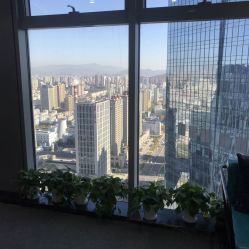 -子午孕教·孕妇瑜伽产后恢复(市北店)