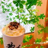 魔都又有了新奶茶，喝过一次就知道为什么火!