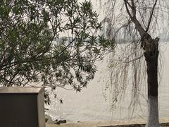 -艾溪湖湿地公园