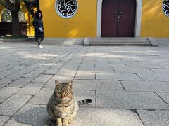 -西园寺素食(西园弄戒幢律寺店)