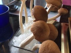 iphone_upload_pic-王家渡火锅店(棕榈泉店)