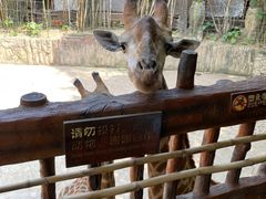 -长鹿旅游休博园