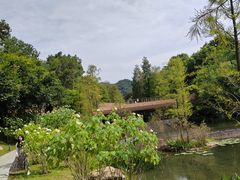 -云溪植物园