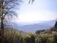 -莫干山风景区