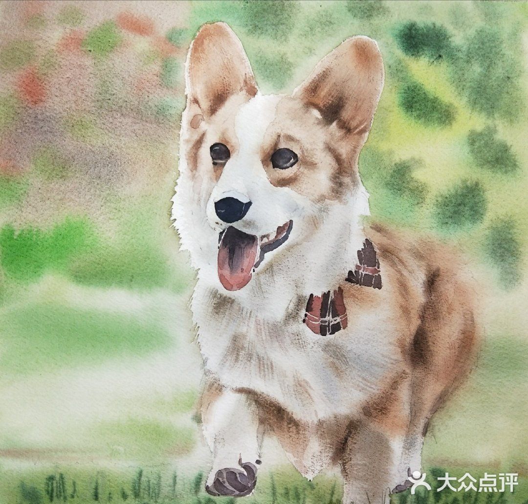 水彩里的小动物~