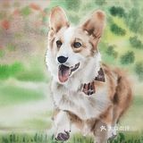 水彩里的小动物~