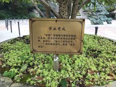 -杭州少年儿童公园