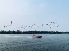 -南大港湿地风景区