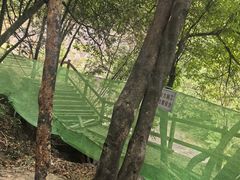 -广州白江湖森林公园