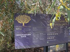 -墨尔本皇家植物园