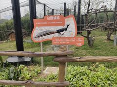 -武汉动物园