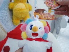-少华山国家森林公园