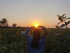 -映月湖中央公园