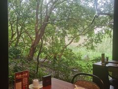 -长兴太湖图影湿地文化园